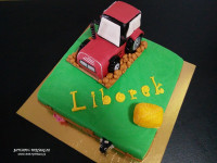 /album/auta-tanky-motorky/40-jpg/